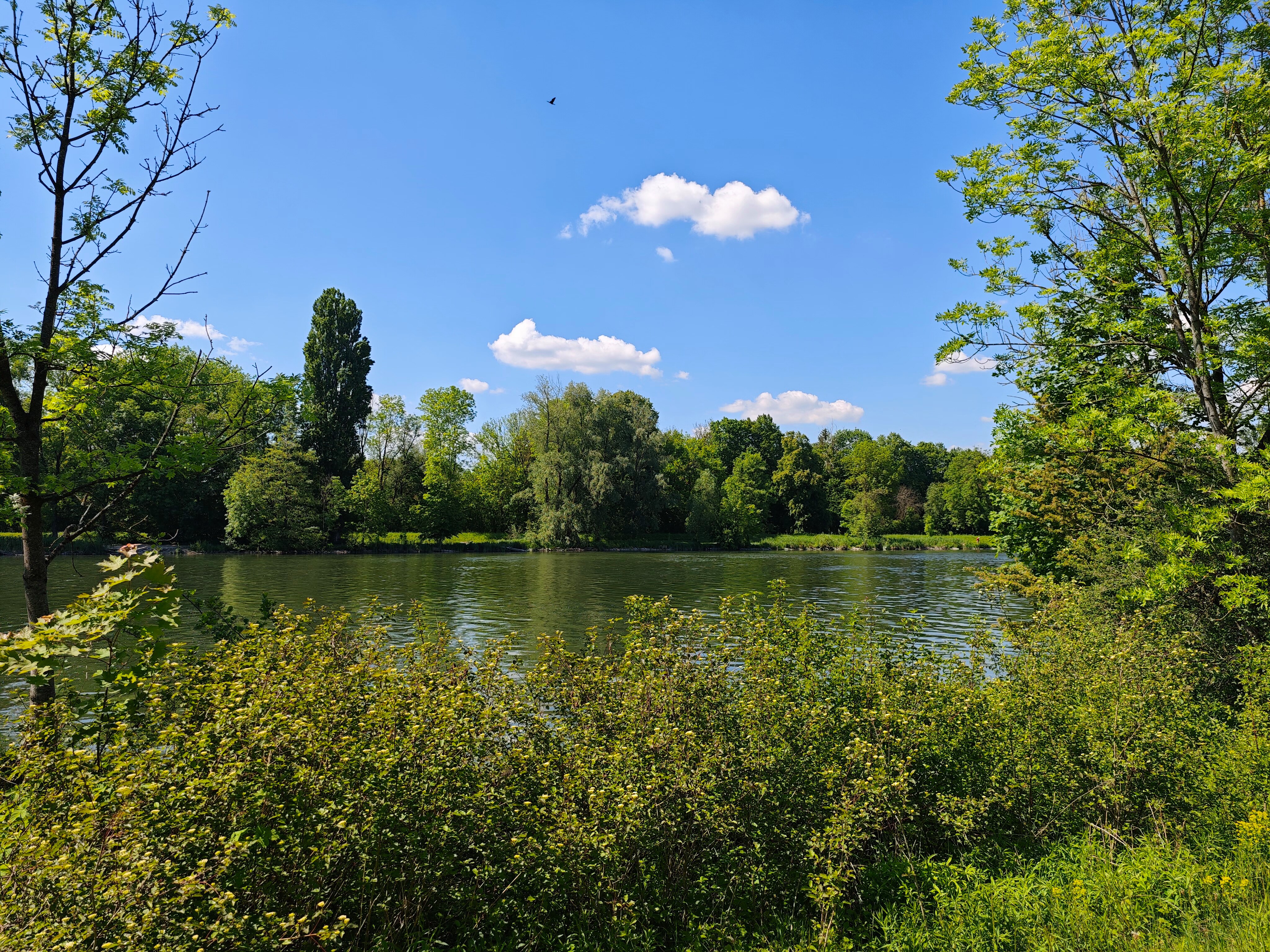 IMG 20240512 145603