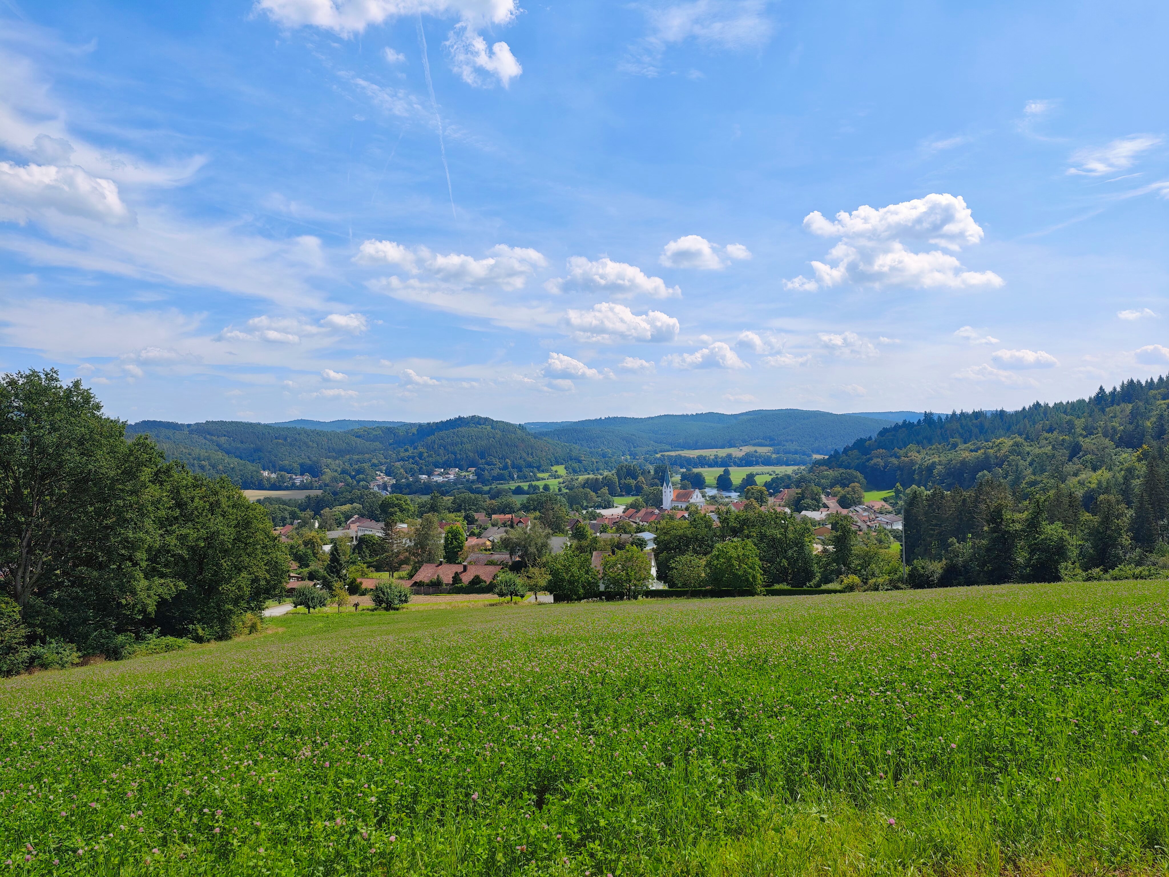 IMG 20240807 134139