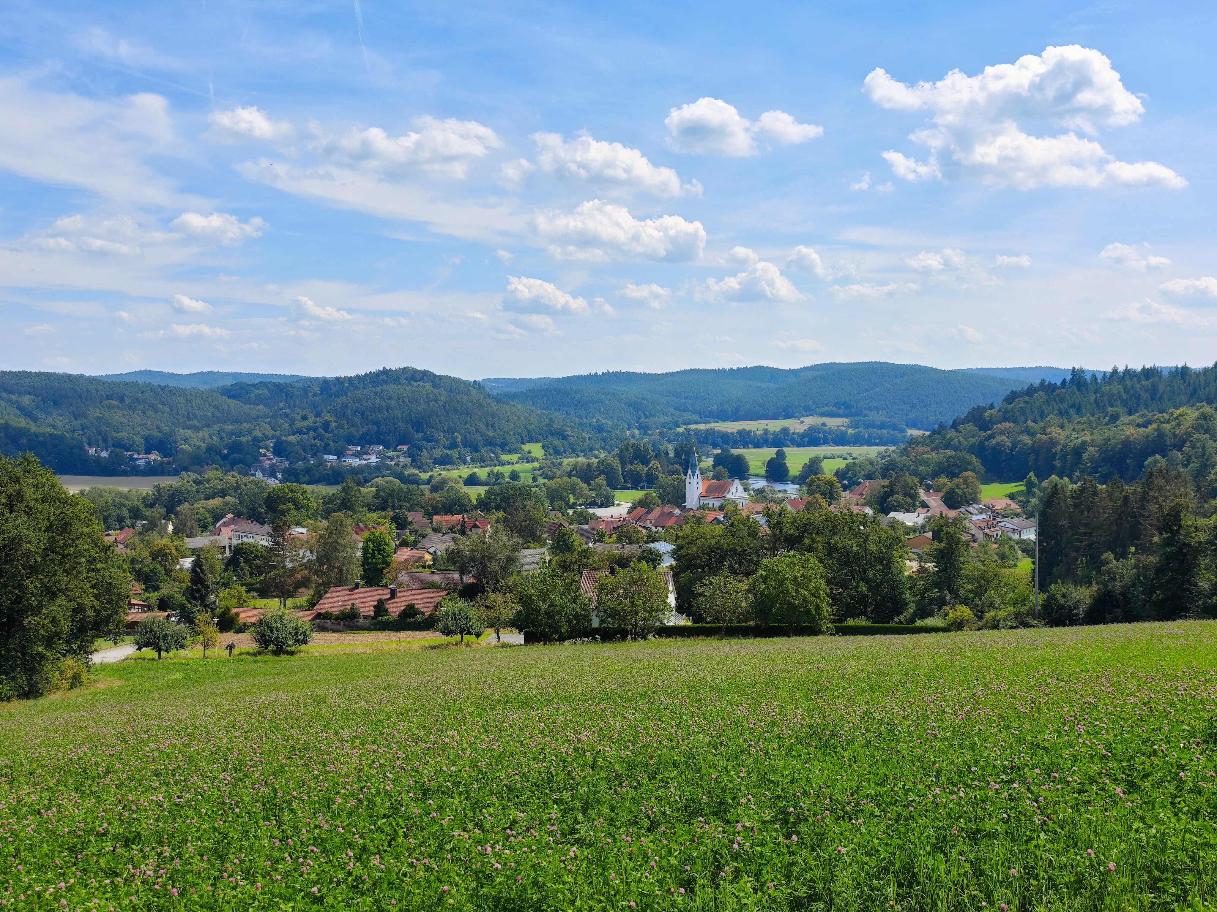 IMG 20240807 134203