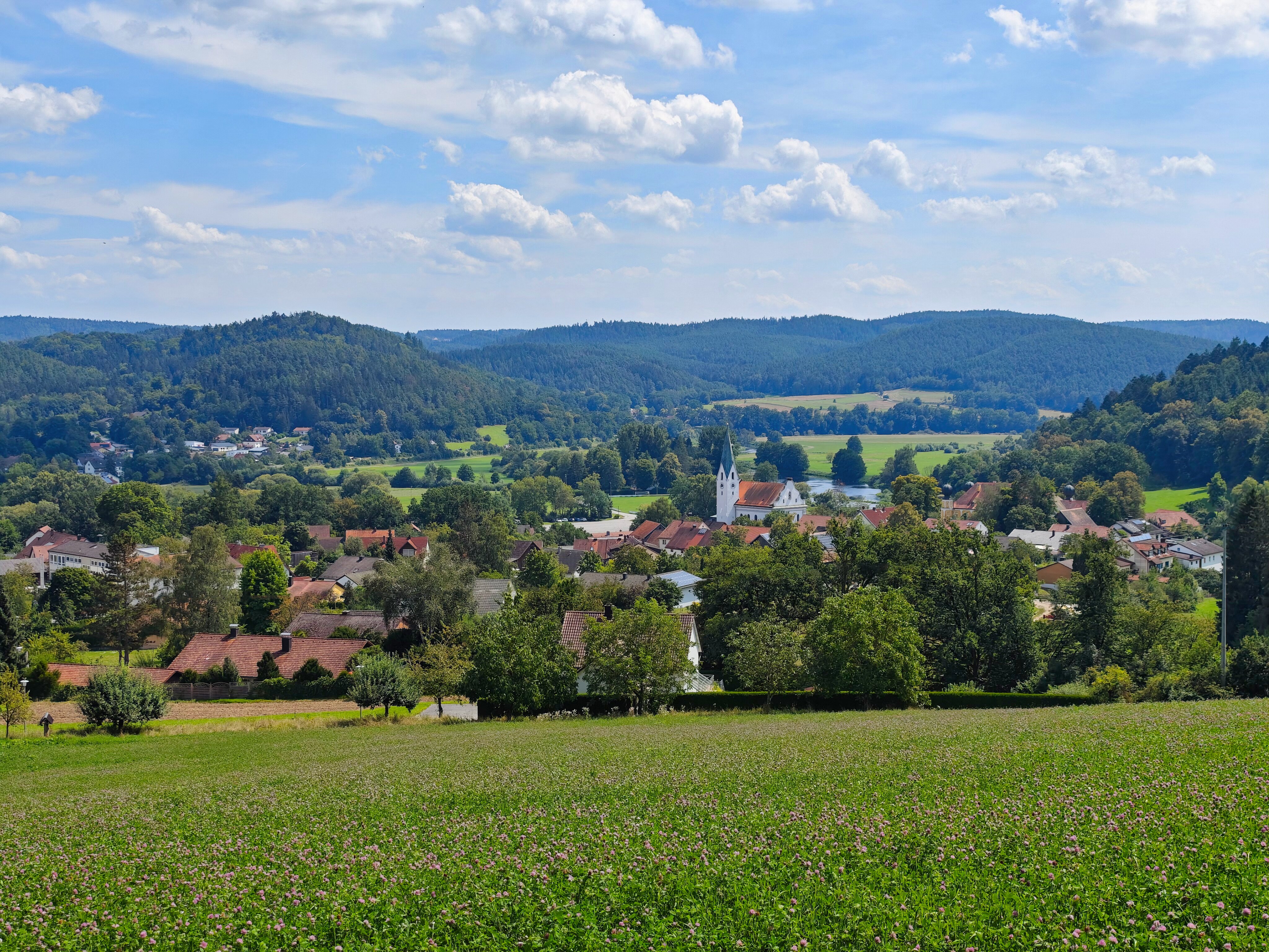 IMG 20240807 134213