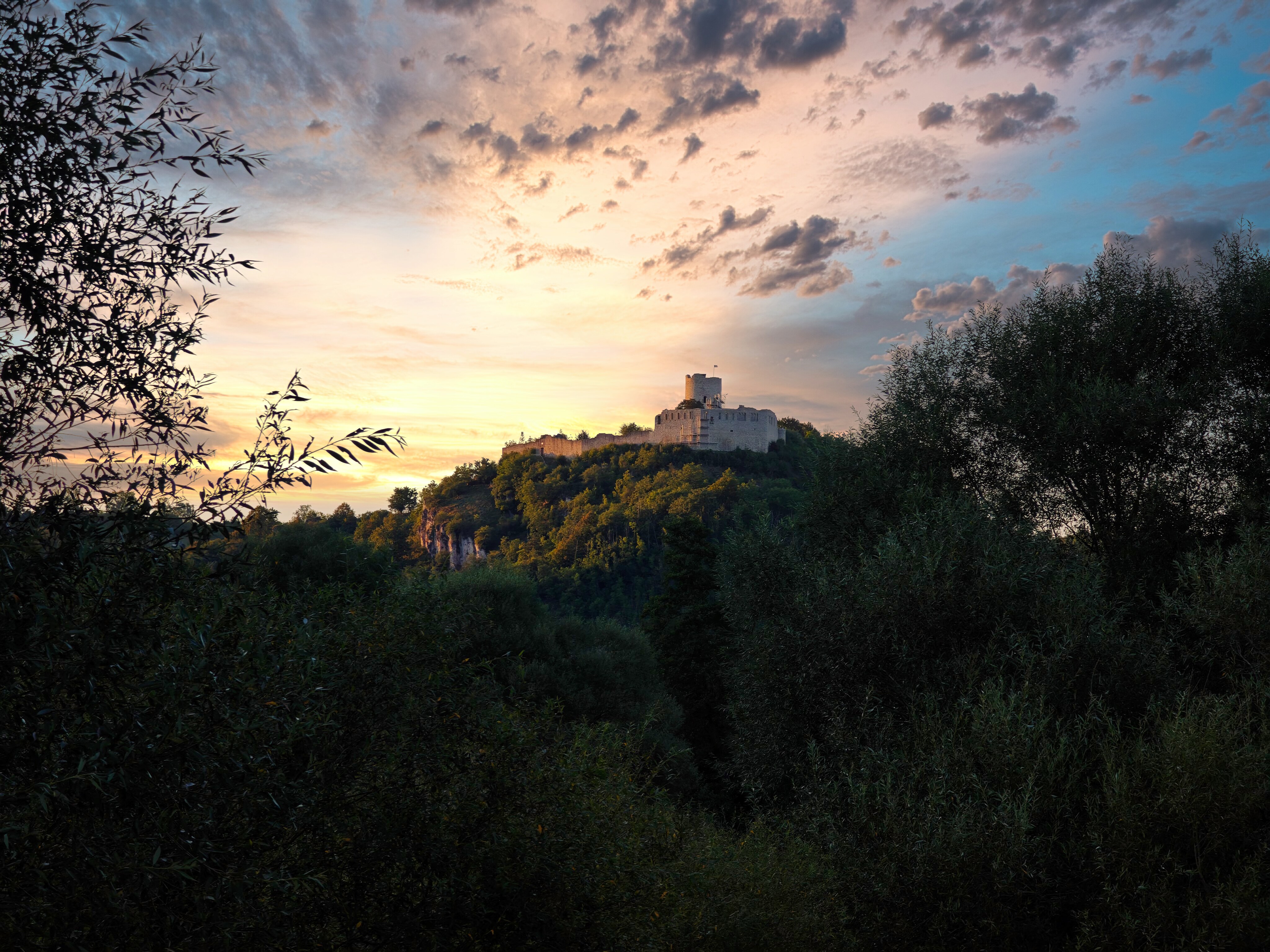 IMG 20240810 201022