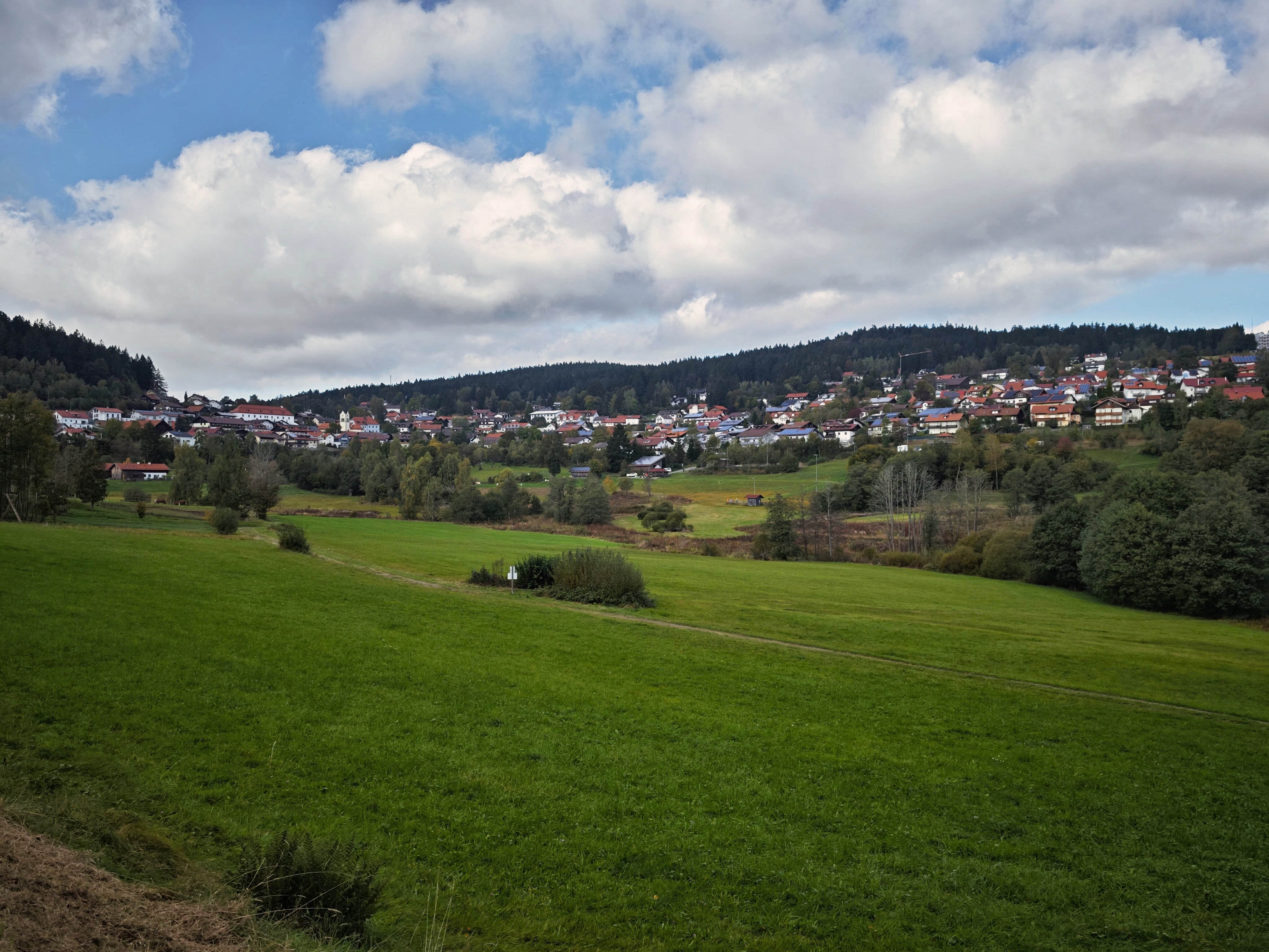 IMG 20241006 152041