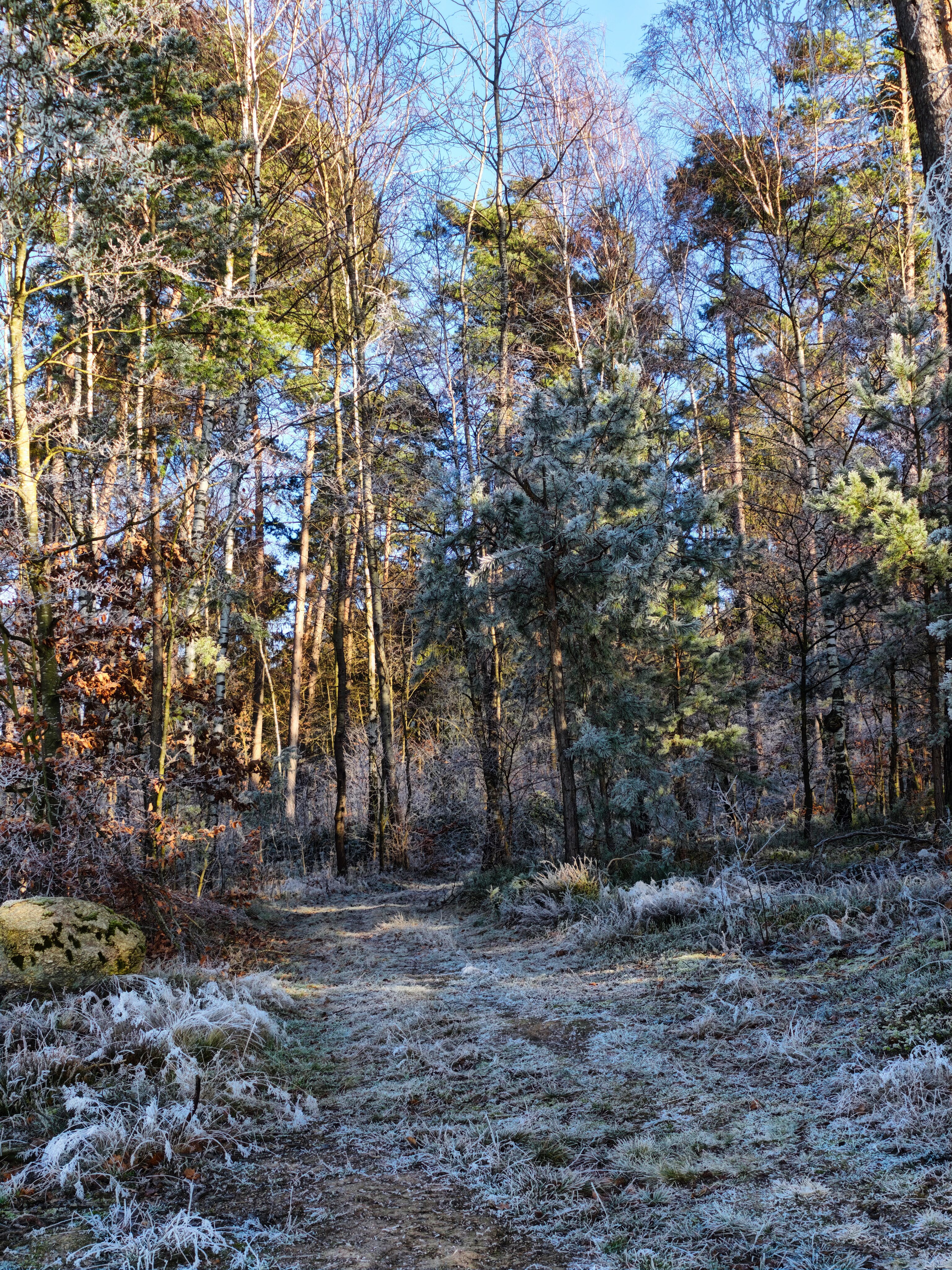 IMG 20241227 130736