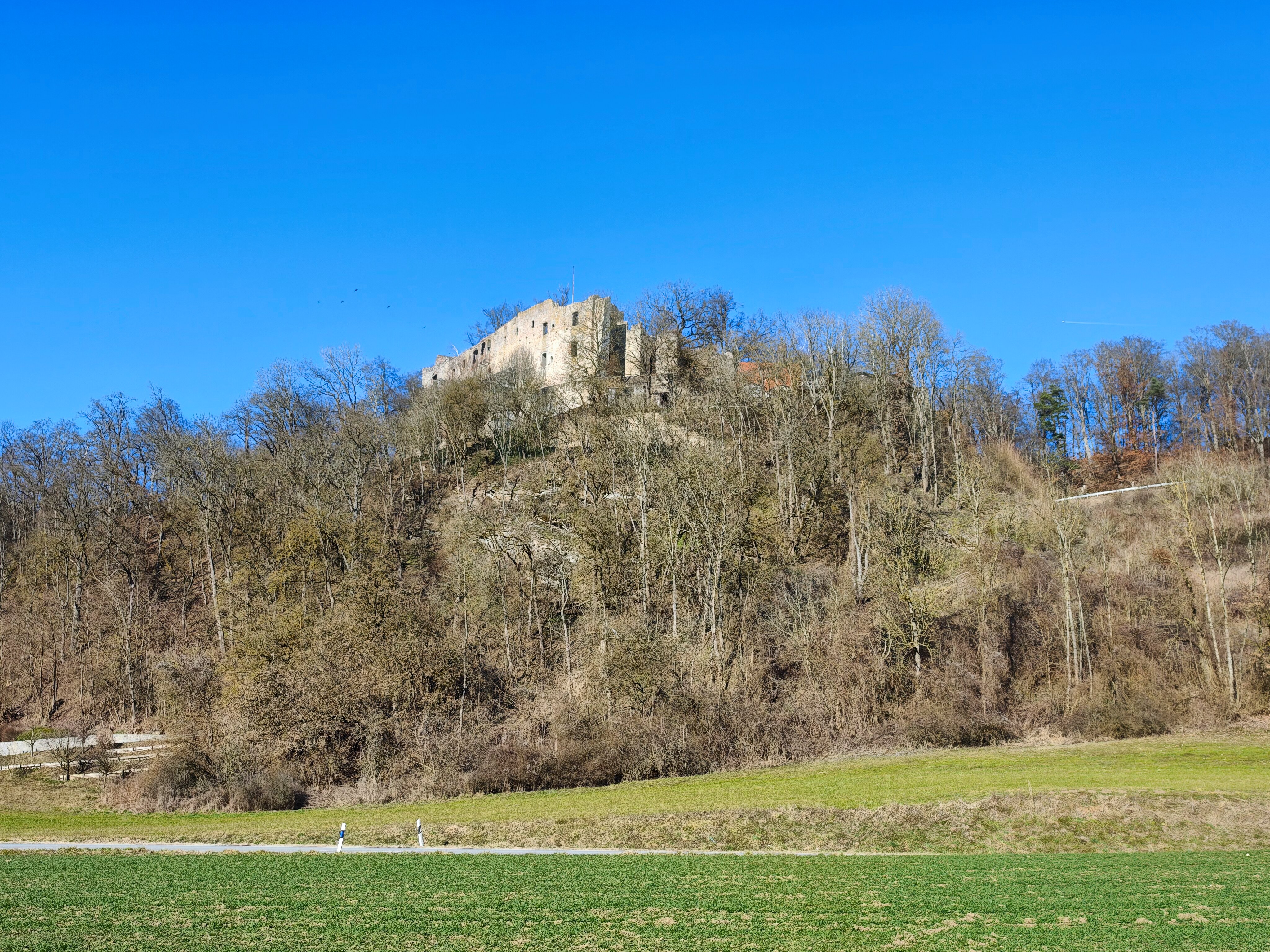 IMG 20250302 153527