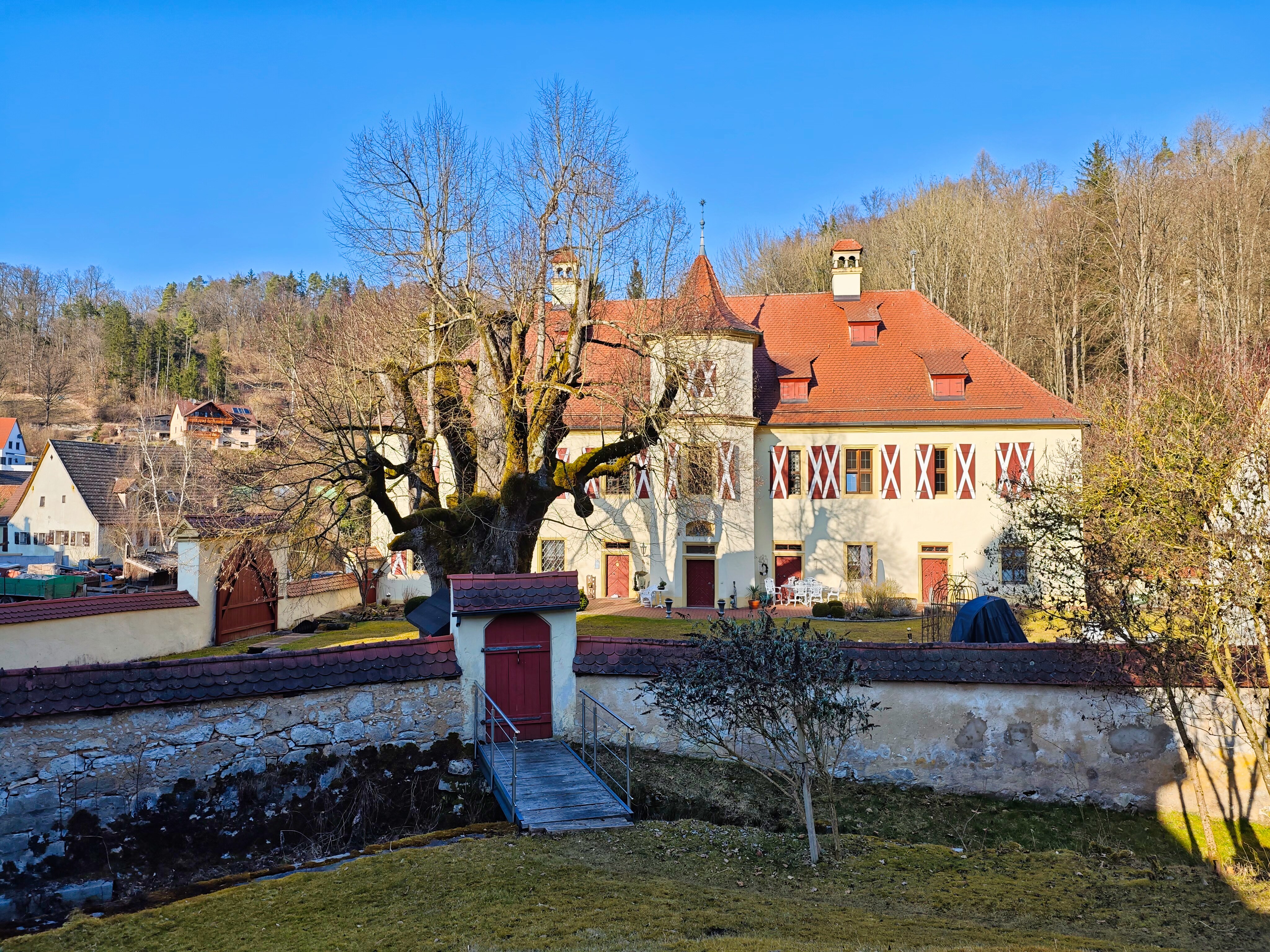 IMG 20250308 160544