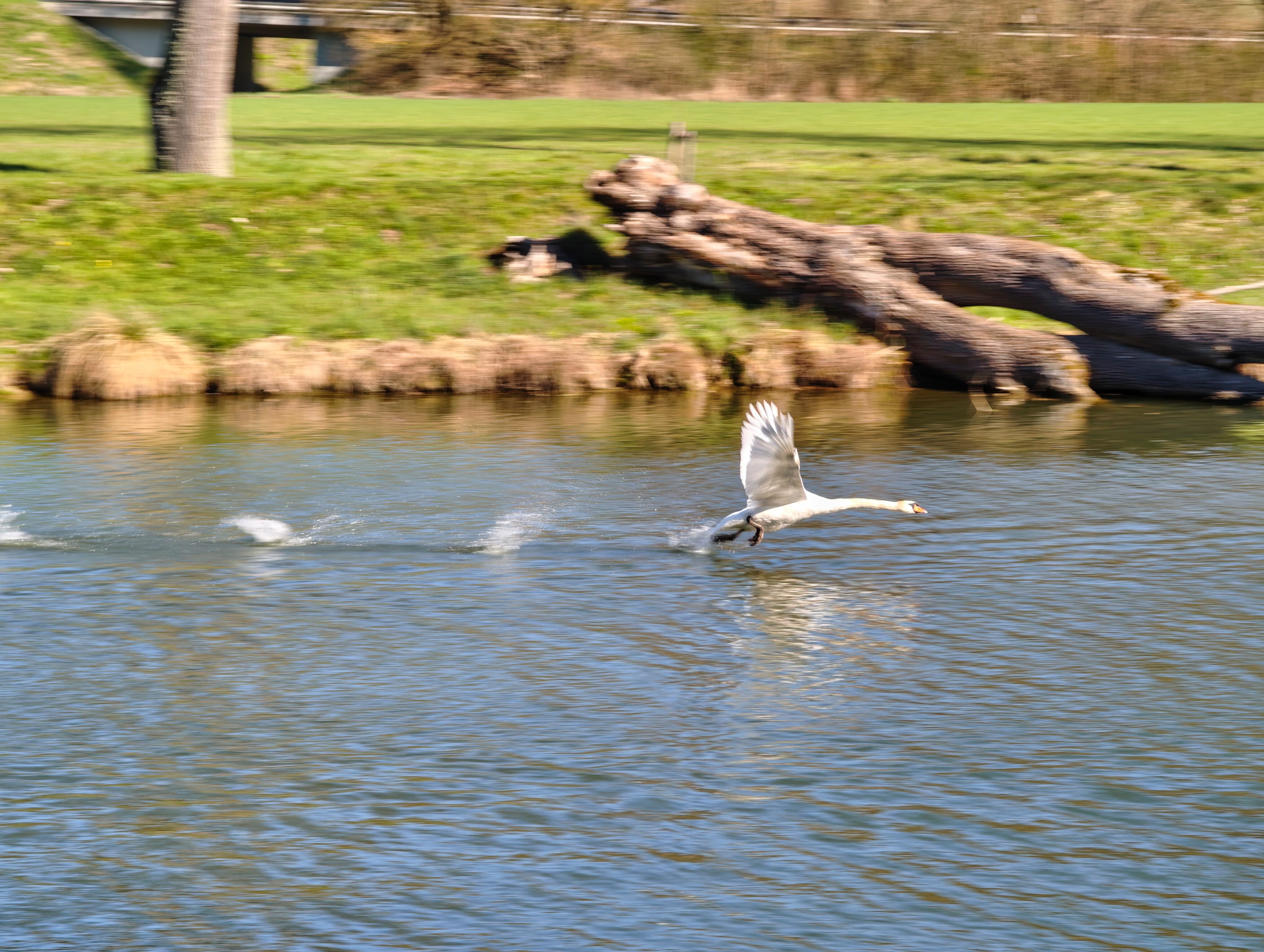 IMG 20250404 102028