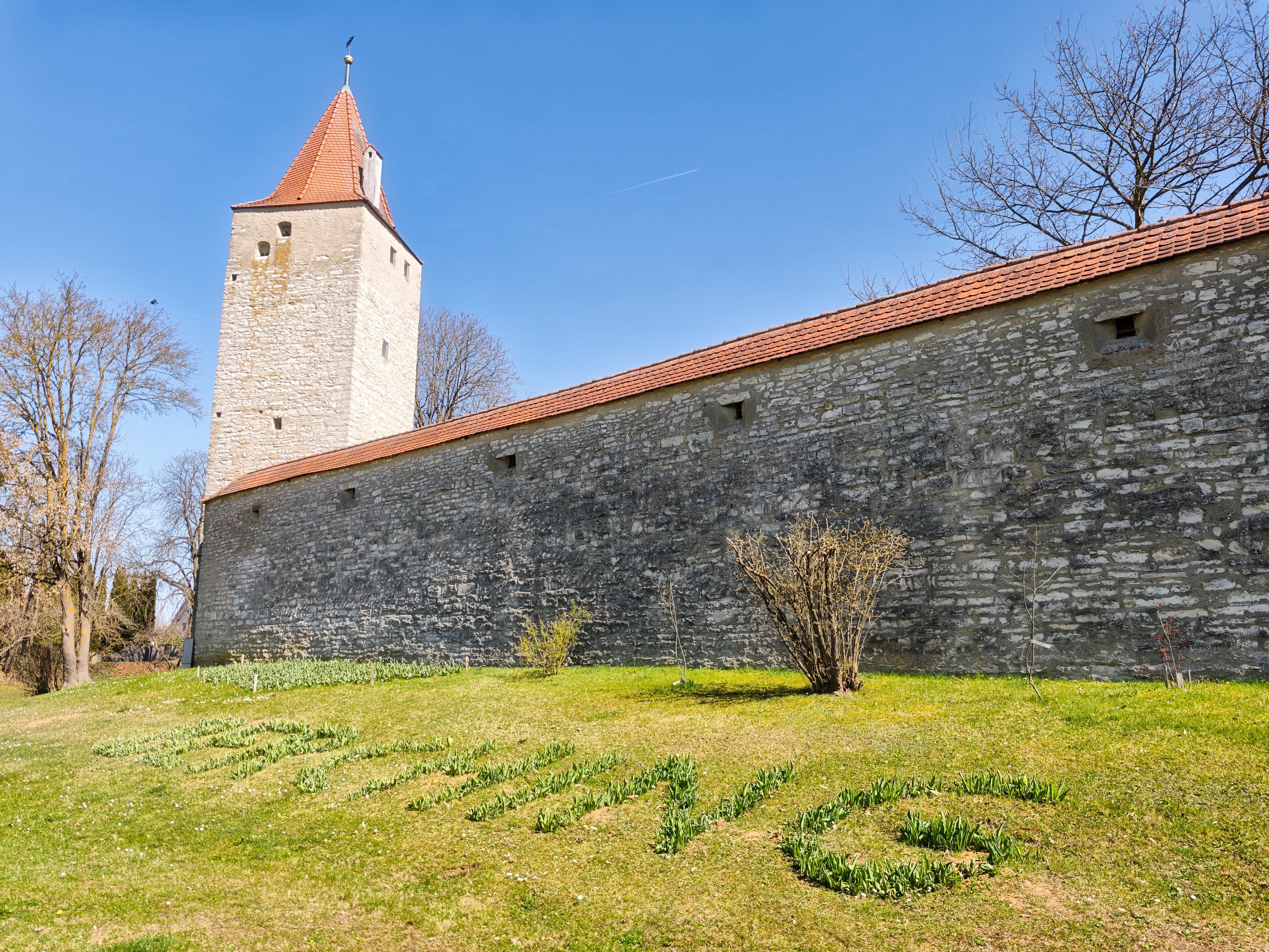 IMG 20250404 131416