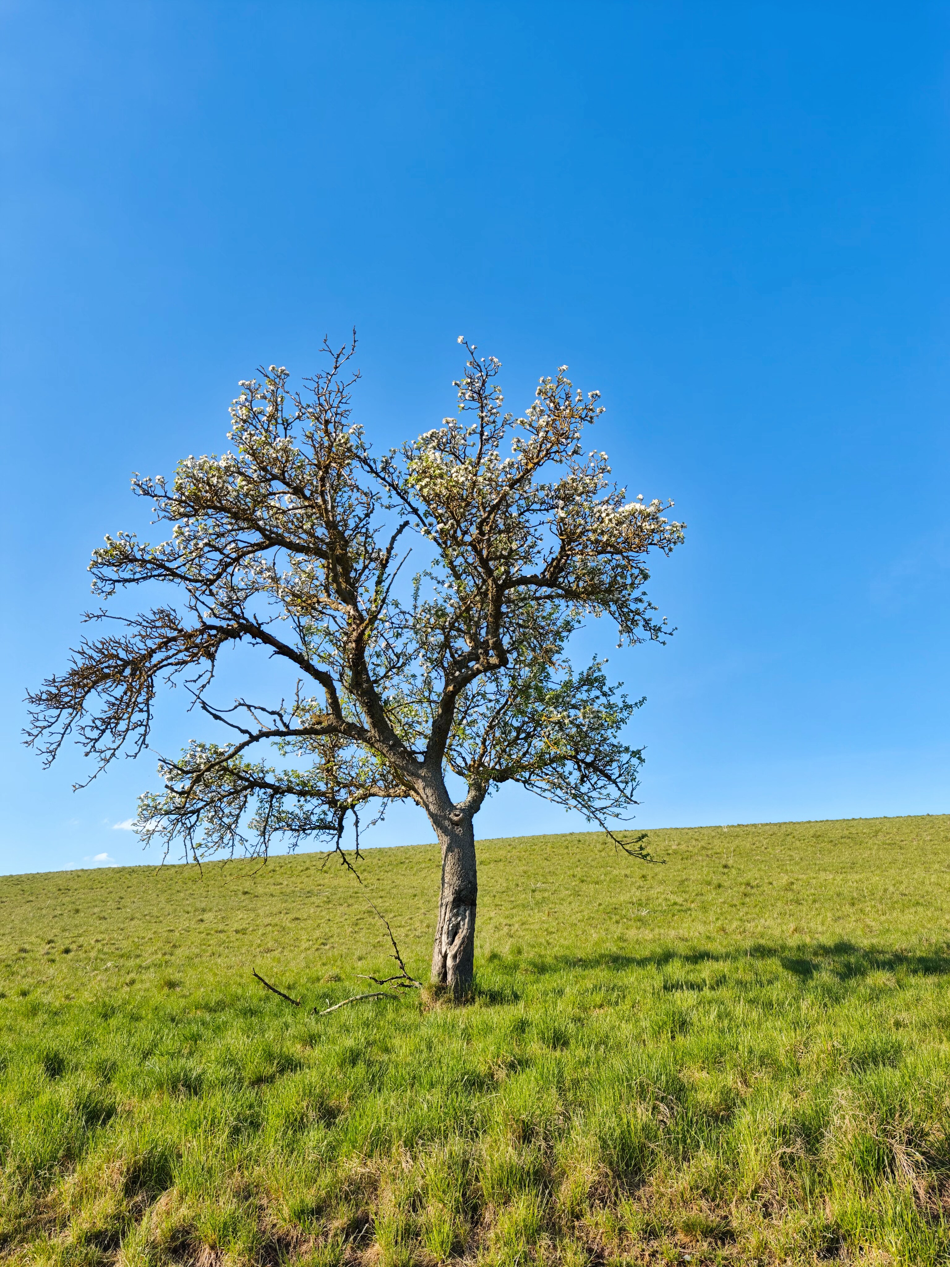 IMG 20250501 181917