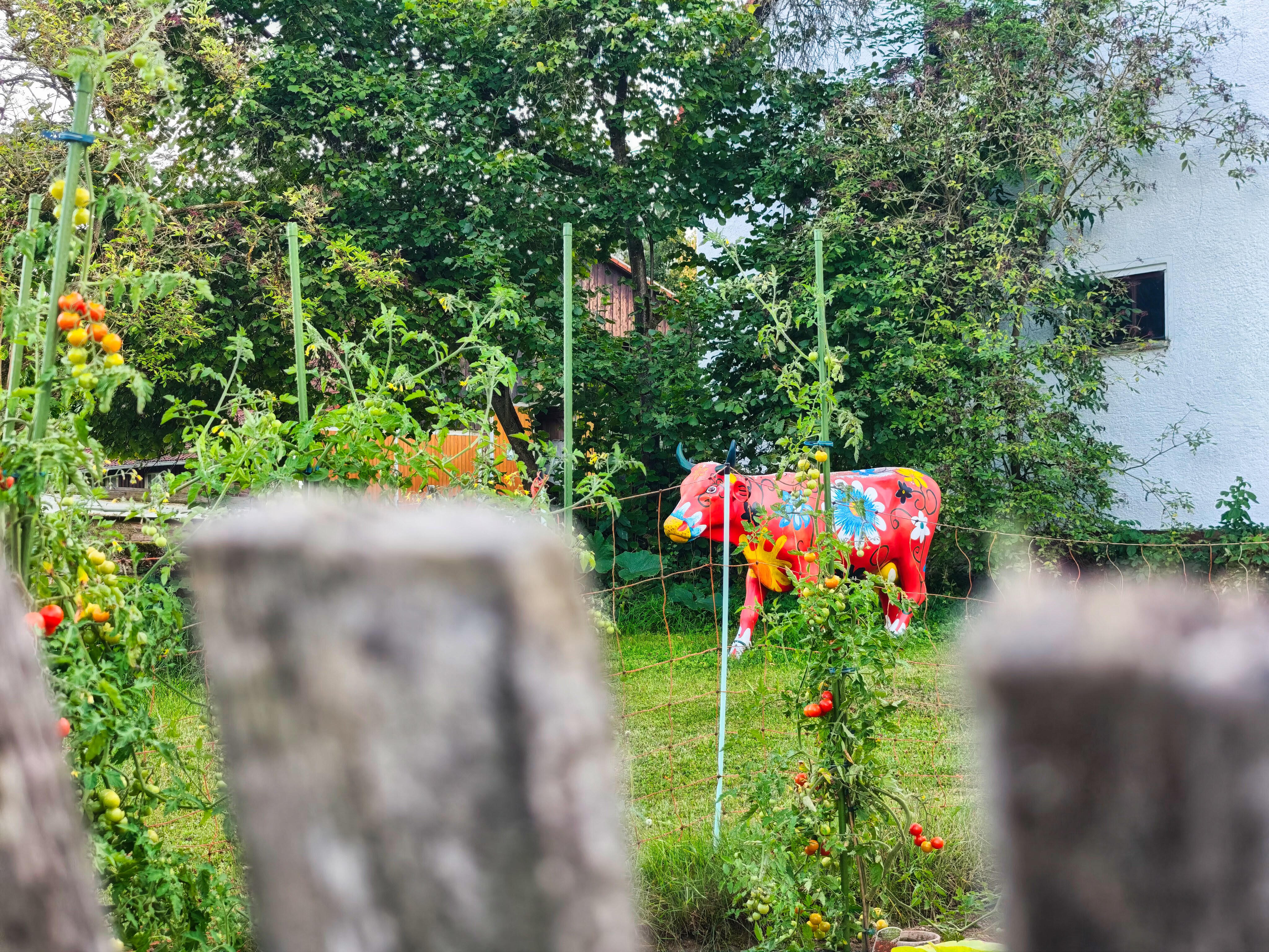 IMG 20250819 193916