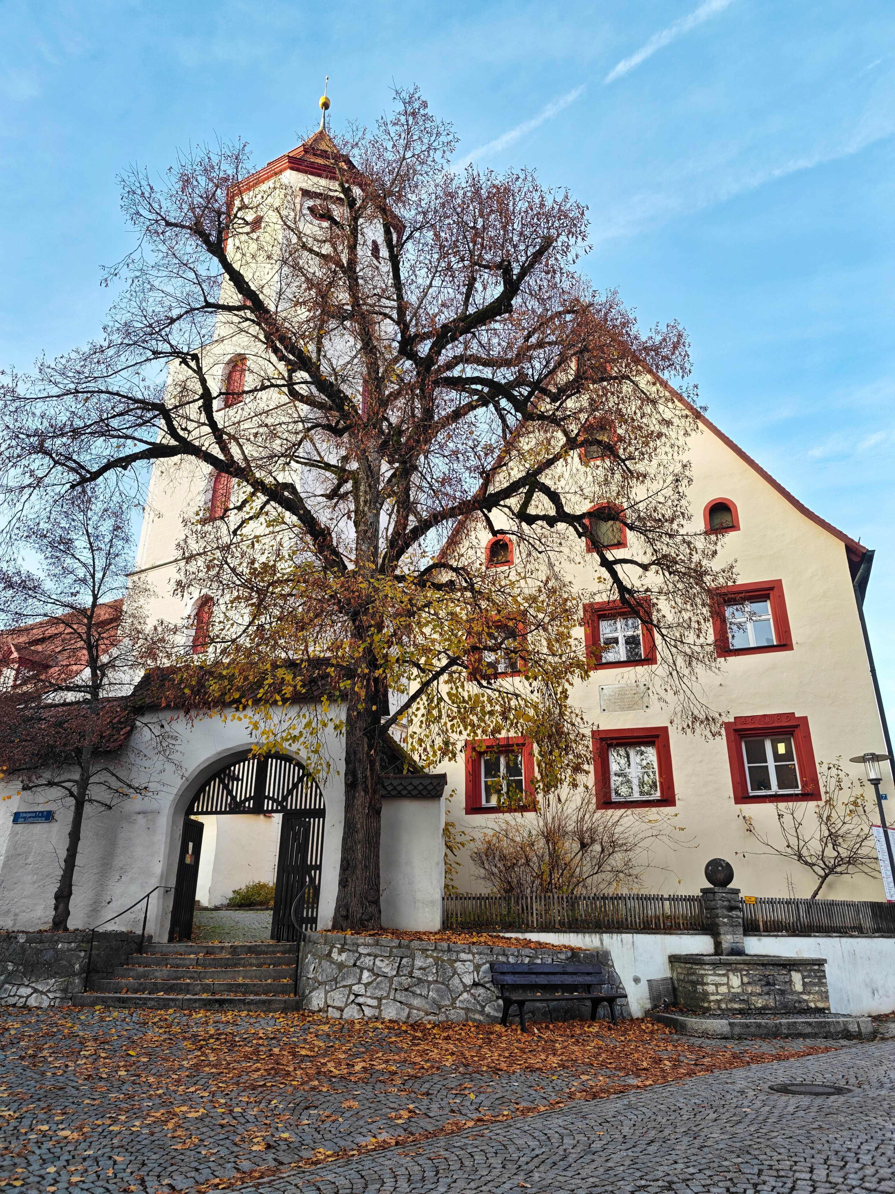 IMG 20251104 155551
