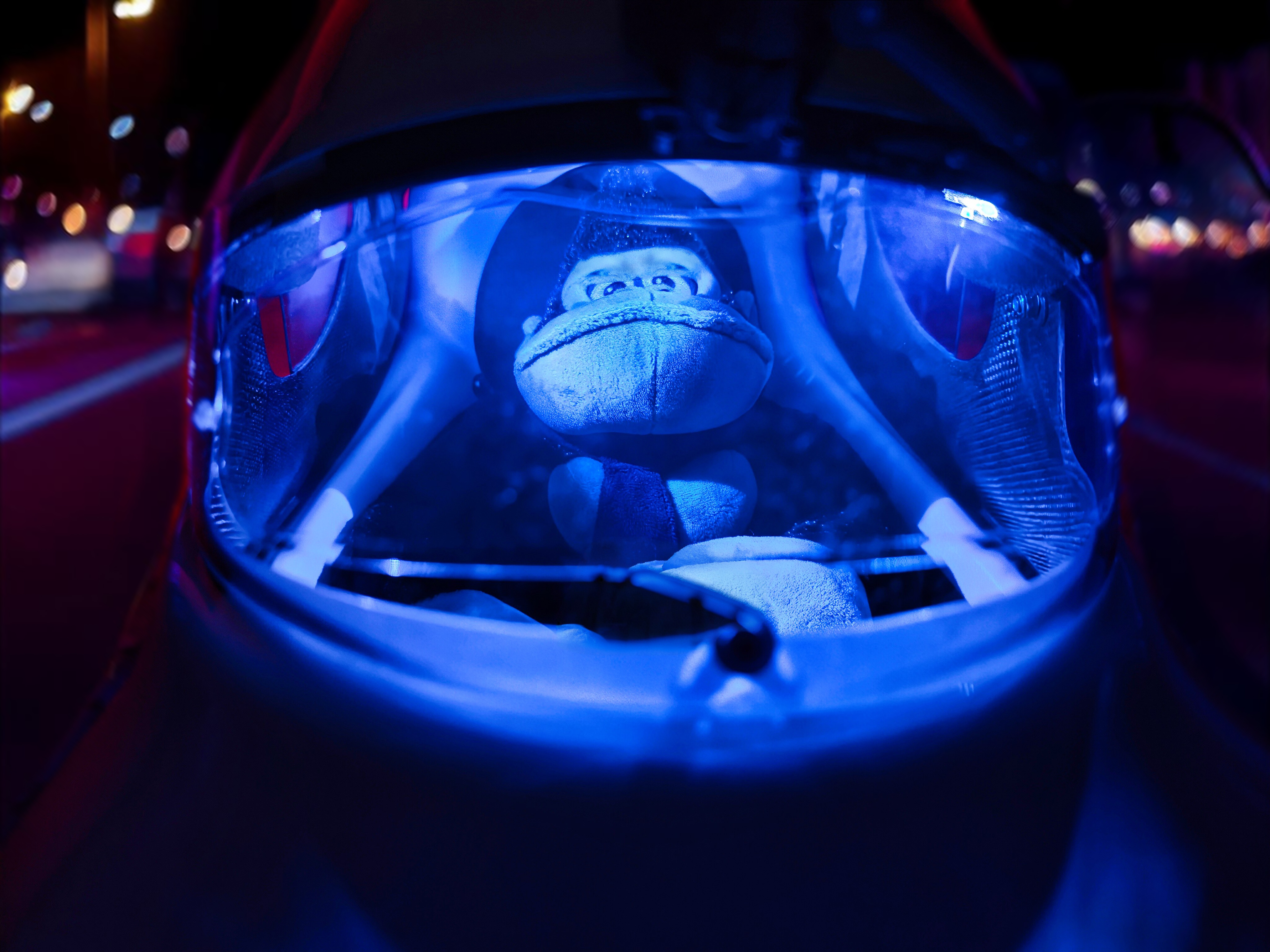 Velomobile Donkey Kong Pilot