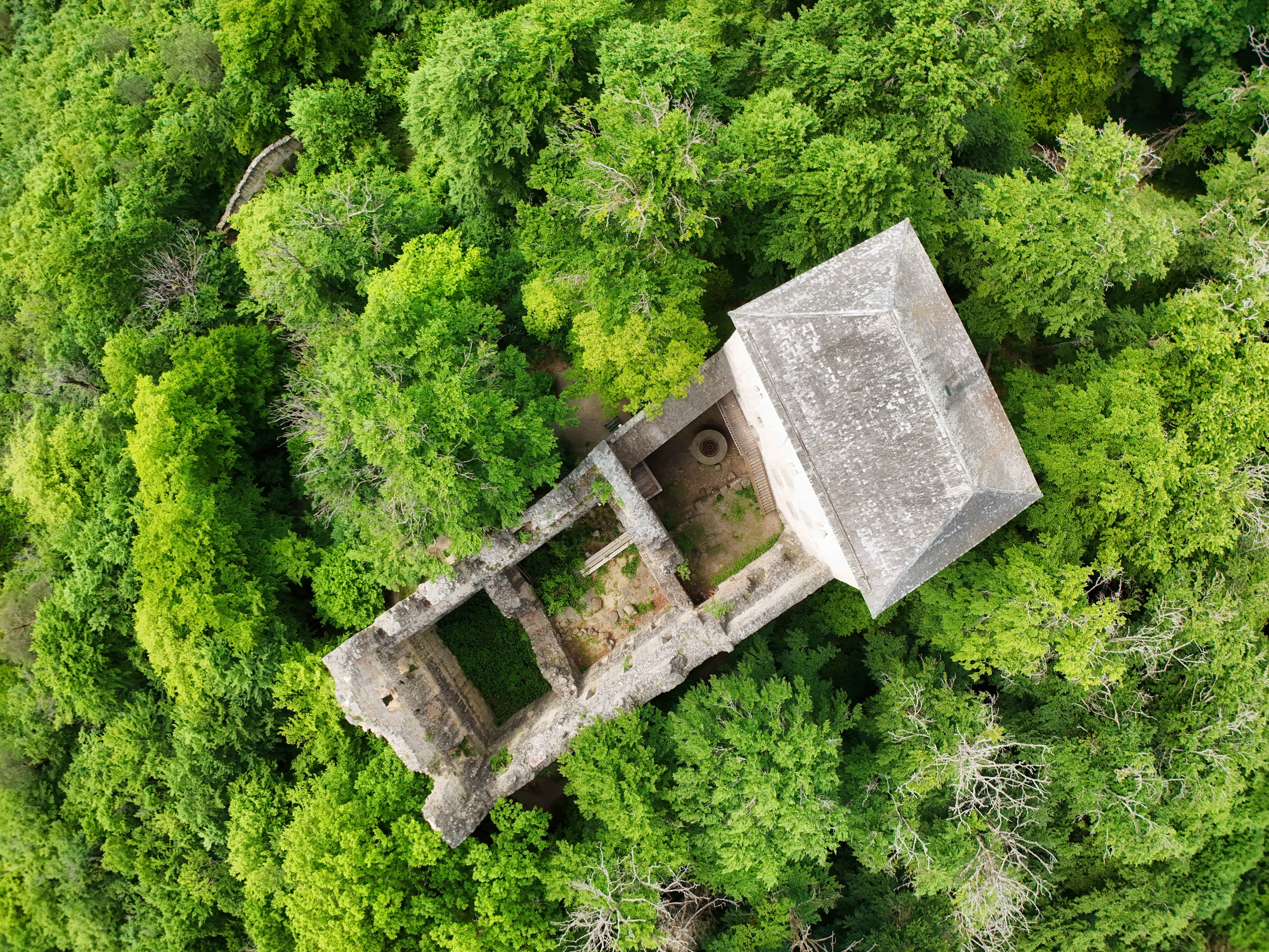 Dji fly 20250520 152156 0026 1747771912540 photo